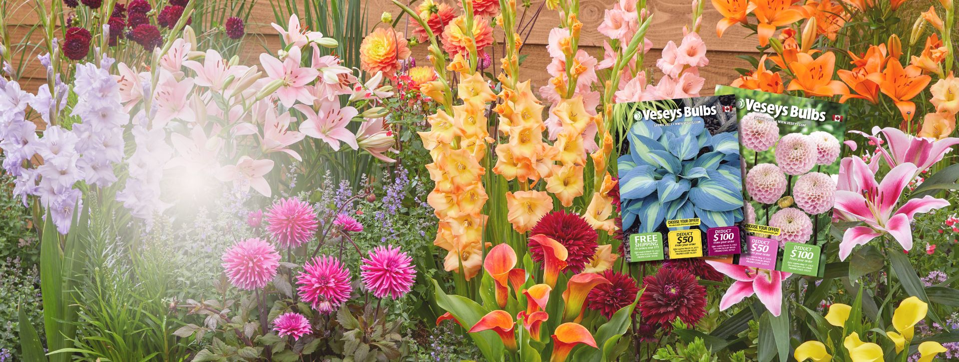 2023 spring bulb